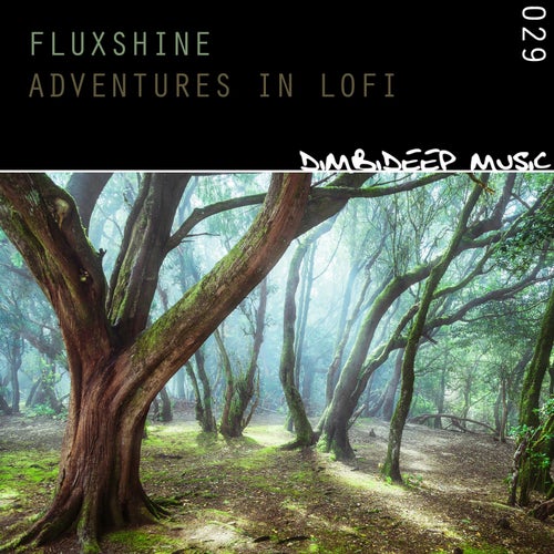 Adventures in Lofi
