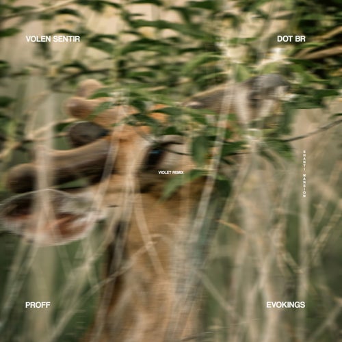 Volen Sentir & Proff — Violet (Dot Br & Evokings Remix) (2026)