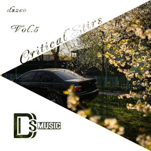  Critical Stirs, Vol. 5 [Different Styles Music]