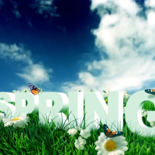 Spring 2013 Chart By Martin Gee