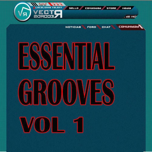 Essential Grooves Volume 1