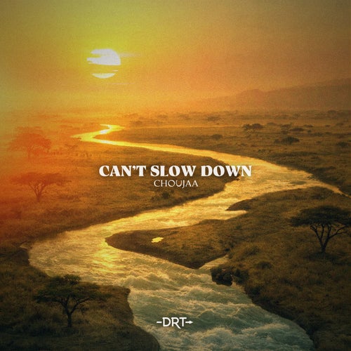 Can't Slow Down - Extended Mix