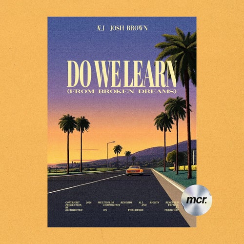 Do We Learn (From Broken Dreams)
