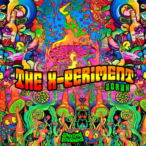 The X-Periment