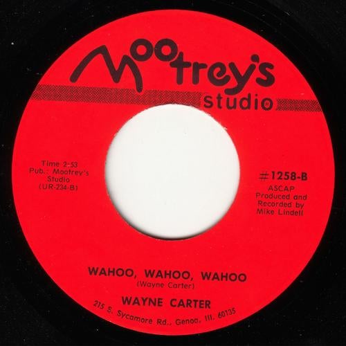 Wahoo Wahoo Wahoo (Mr Scruff Edit) - Single