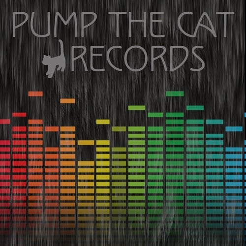 Pump The Cat Records