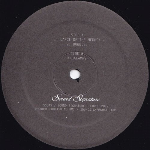 Jill Scott - Slowly Surely (Theo Parrish Mix) | Beatport