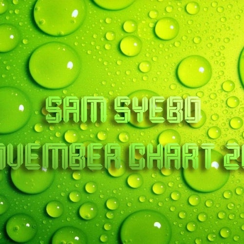 Sam Syebo_November chart_2012