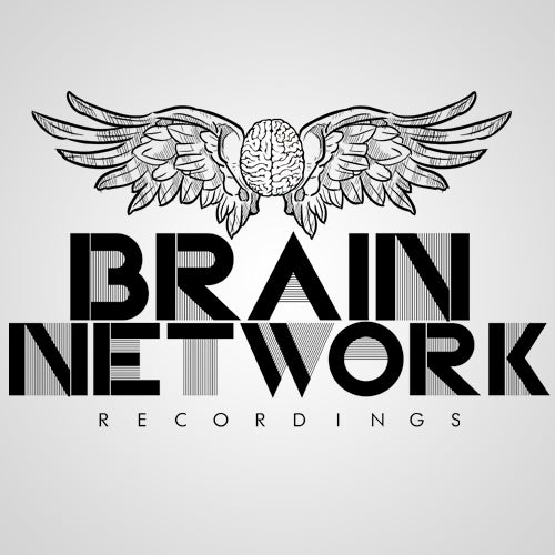 Brain Network Recordings