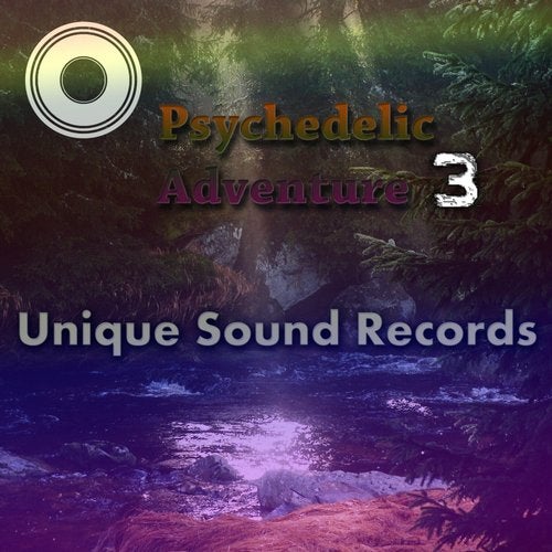 Cover art for Psychedelic Adventure 3
