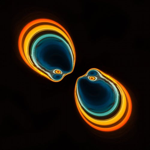 Twinkle Venus - Julian Zyklus Rework