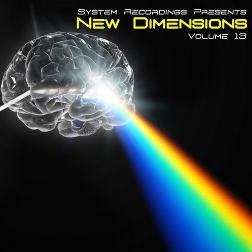 New Dimensions 13