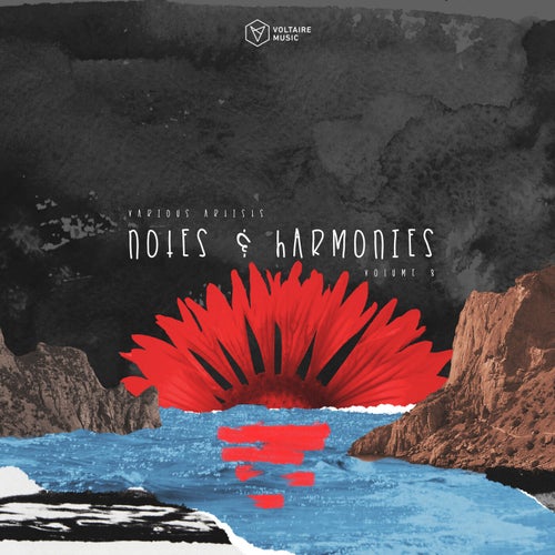 Notes & Harmonies Vol. 8