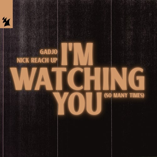 I'm Watching You (So Many Times)