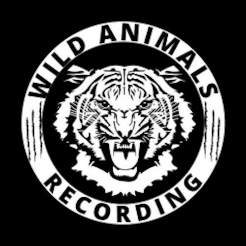 Wild Animals Recording