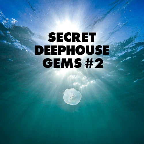 Secret Deephouse Gems #2 [Tronic Soundz]