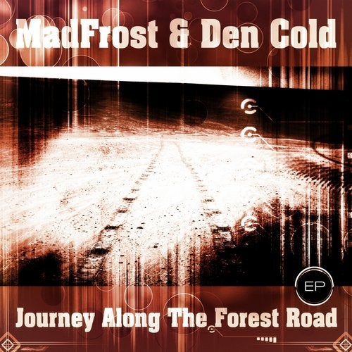 Journey Along The Forest Road