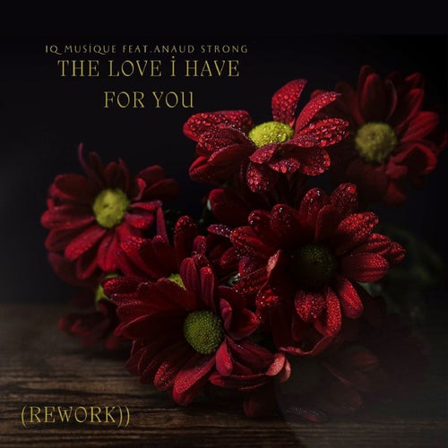 The Love I Have For You (Rework)