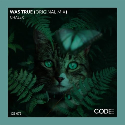 Cover art for Was True (Original Mix)