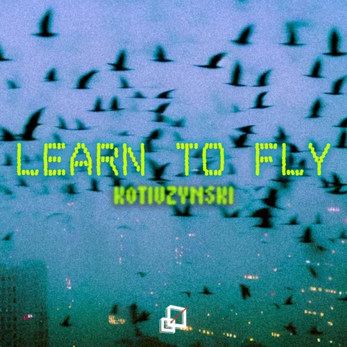 LEARN TO FLY