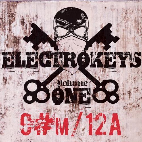 Electro Keys C#m/12a Vol 1