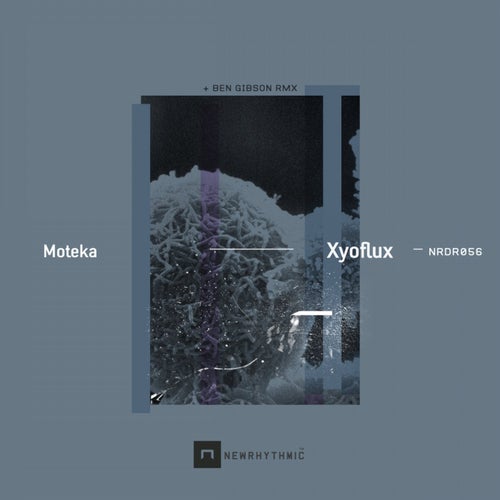 Xyoflux