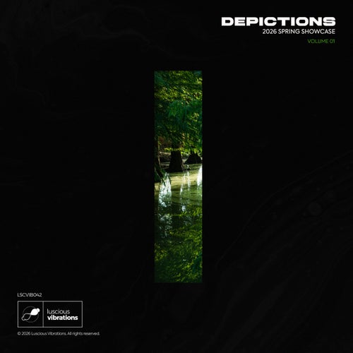 Depictions, Vol. 1