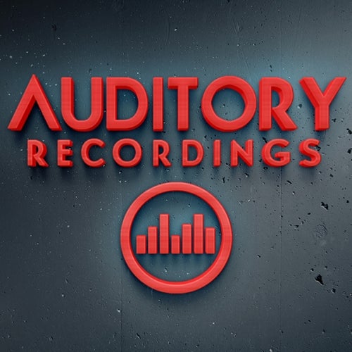 AUDITORY RECORDINGS TOP 10 (2015 SELECTION)