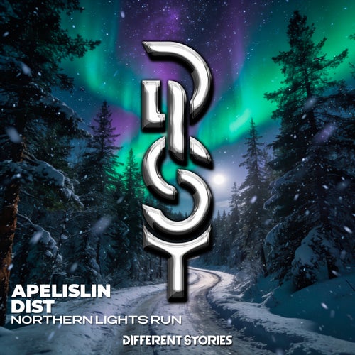 Northern Lights Run