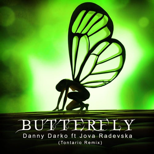 Cover art for Butterfly