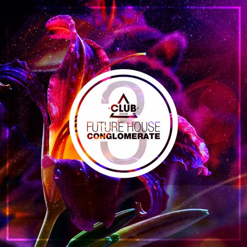 Future House Conglomerate Vol.3
