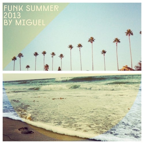 FUNK SUMMER 2013