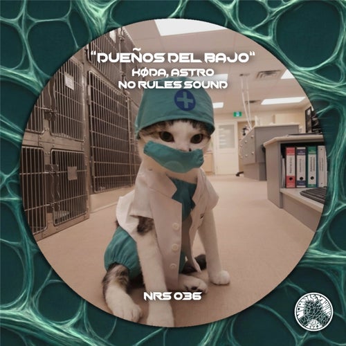DUEÑOS DEL BAJO