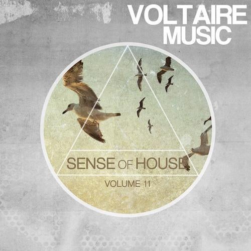 Sense Of House Vol. 11
