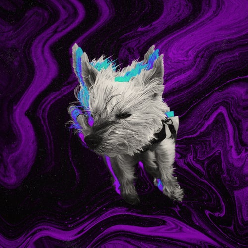 LOUI3 - Extended Edition