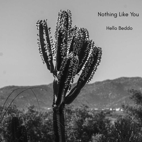 Nothing Like You