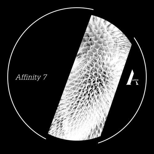 Affinity 7