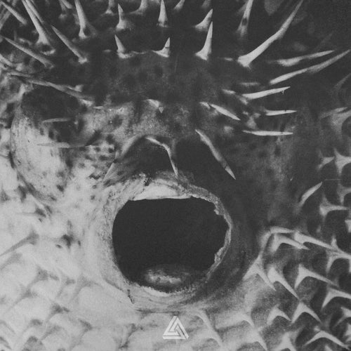 Blowfish
