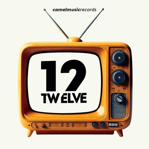 Twelve Years, Music Selection
