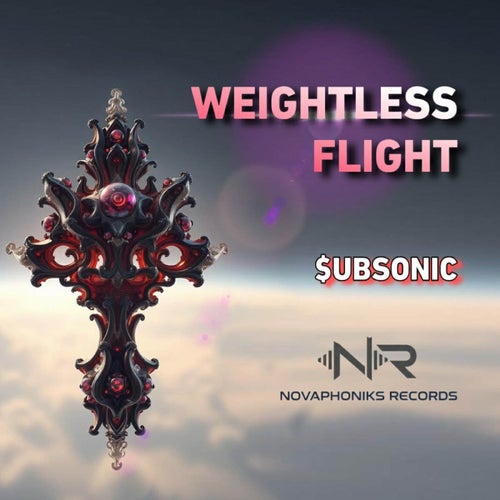 Weightless Flight