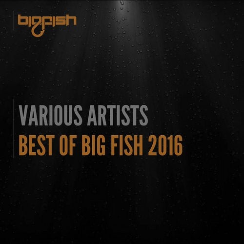 Cover art for Best of Big Fish 2016