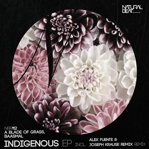 Indigenous