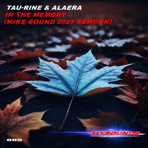 In The Memory (Mike Bound 2025 Rework)