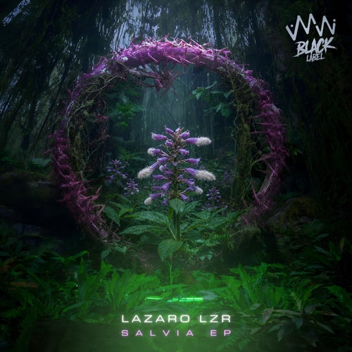 AMW Black Label Music & Downloads on Beatport