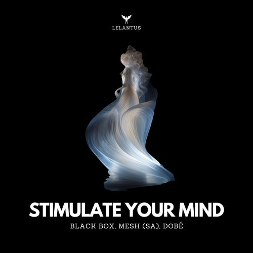  BLACK BOX & MESH (SA) & DOBe - Stimulate Your Mind (2024) 