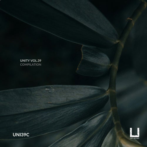 Unity Vol.39 Compilation [Unity Records] FLAC - Unity Records (Techno (Raw / Deep / Hypnotic)) Album Cover