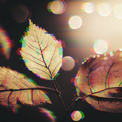 Look forward to the fall