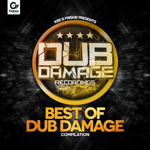 Cover art for Best Of Dub Damage