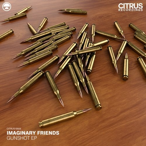 Imaginary Friends - Gunshot / The Warp 2019 (EP)