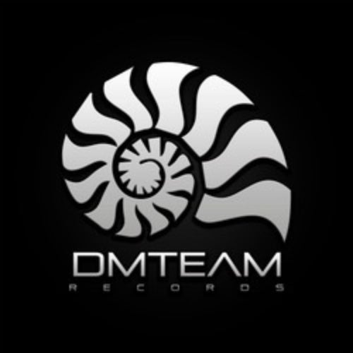 DMTeam Records
